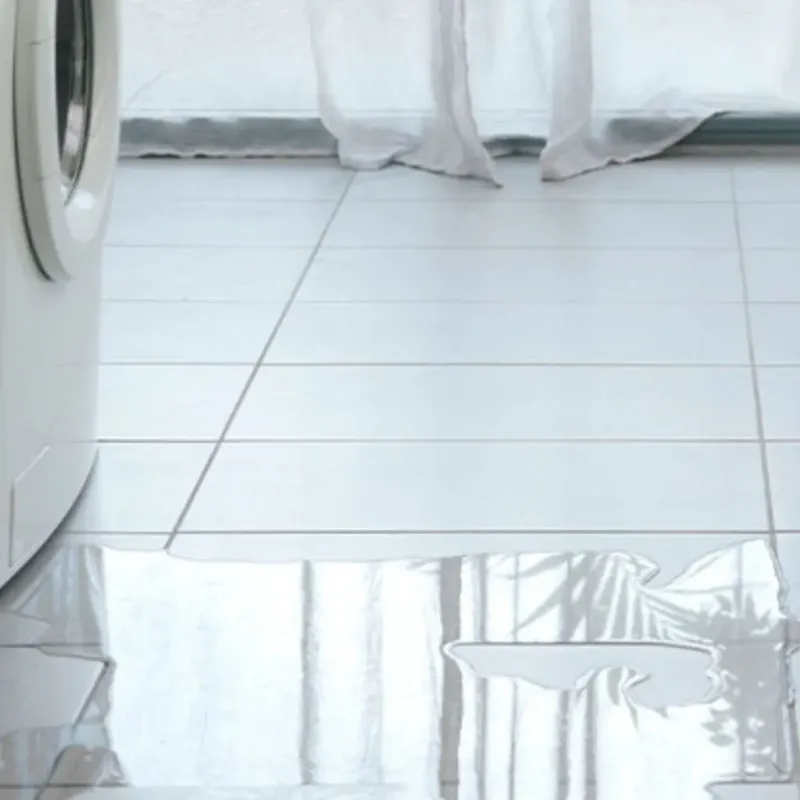 Appliance Leak Cleanup in Gadsden, AL