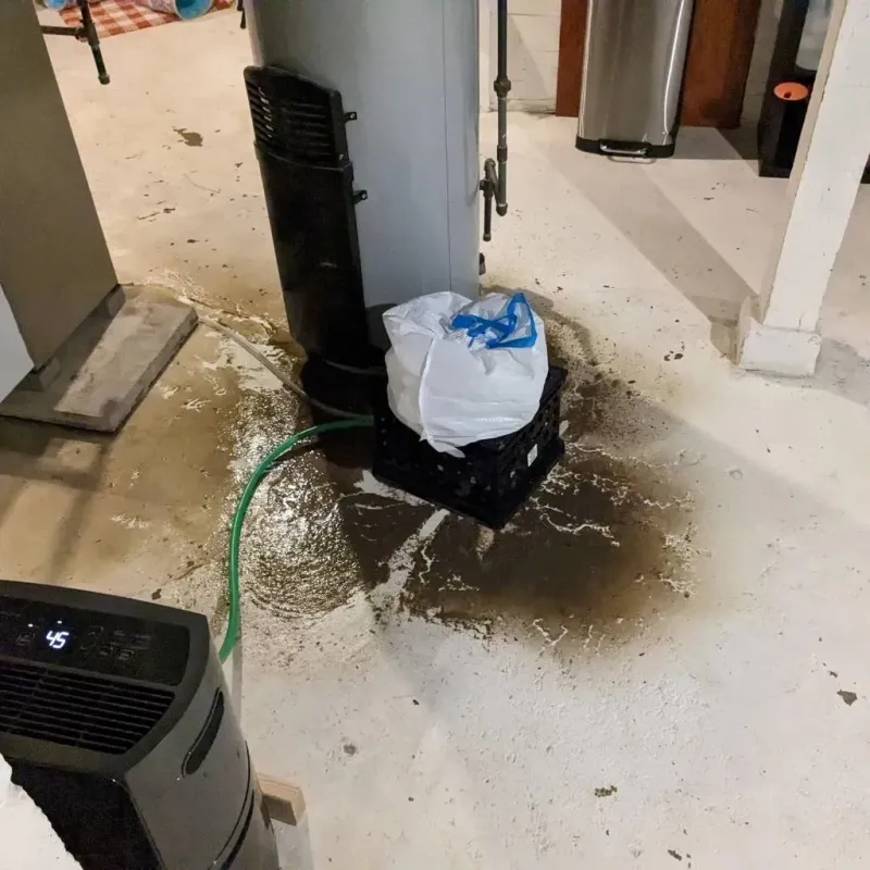 Sewage Backup Cleanup Service in Gadsden, AL